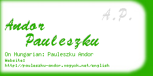 andor pauleszku business card